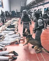 Tarih böyle vahşet görmedi
