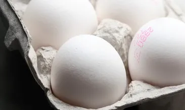 Yumurtanın üzerinde yazan kodlara dikkat!