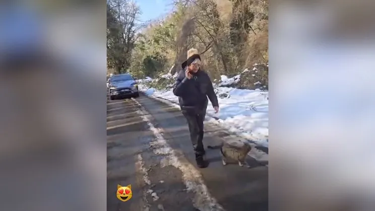Ajda Pekkan'ın doğa yürüyüşündeki davetsiz misafiri! Süperstar'ı bir an olsun yalnız bırakmadı… | Video