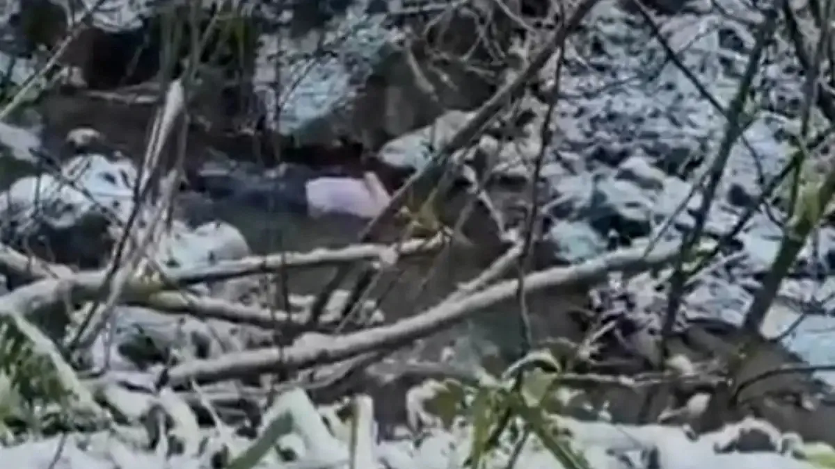 Kartepe'de suyun üzerinde ceset bulundu