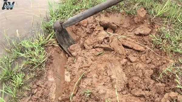 Birbirinden ilginç balık avlama yöntemleri