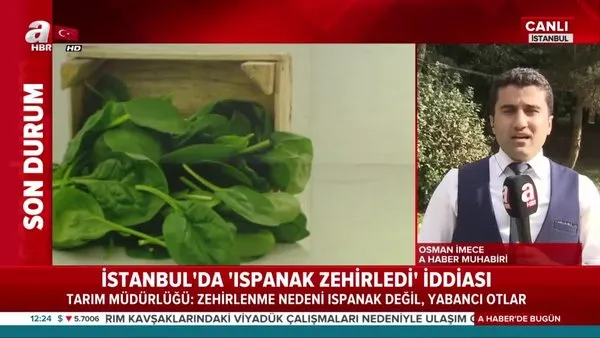 İstanbul'da ''Ispanak zehirledi'' iddiası!
