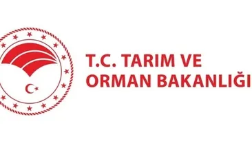 OGM personel alımı başvuruları devam ediyor! OGM personel alımı başvurusu nasıl yapılır, şartlar neler?