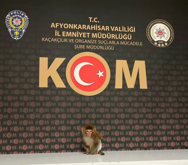 afyonda-evinde-maymun-besliyordu-polis-operasyon-duzenledi-1791876373349.jpg