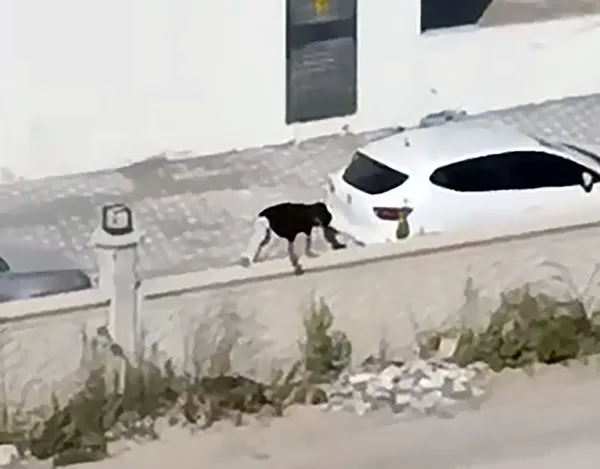 tartistigi-kadini-tekme-tokat-dovdu-1787234070737.jpeg