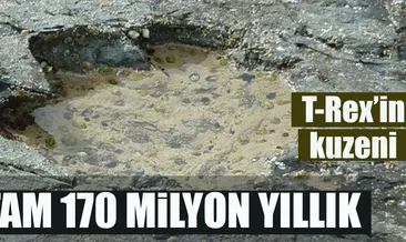170 milyon yıllık dinazor ayak izi