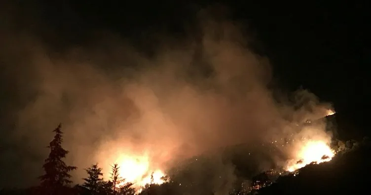 Son dakika haberi: İzmir’de orman yangını