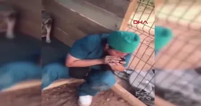 Bartın’da ölü doğan 4 yavru köpeği kalp masajı yaparak hayata döndüren hayvansever kamerada | Video