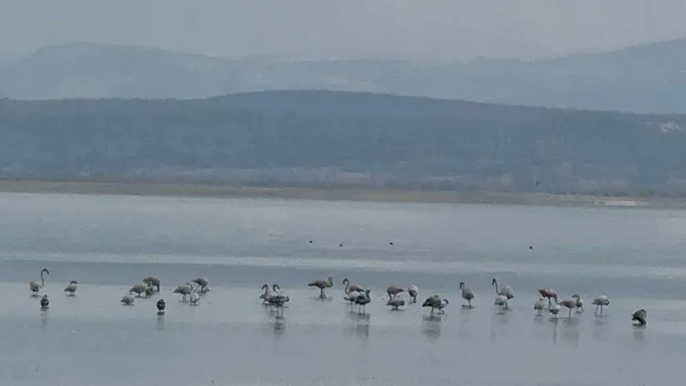 SON DAKİKA... Türkiye’nin en büyüğüydü! Eğirdir Gölü’nde korkutan görüntü: 5 metre birden…