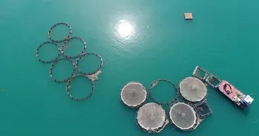 Tüm dünya onların peşinde! Onlar ise sadece Türkiye’de...