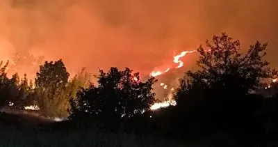 Diyarbakır’da 3 noktada orman yangını #diyarbakir