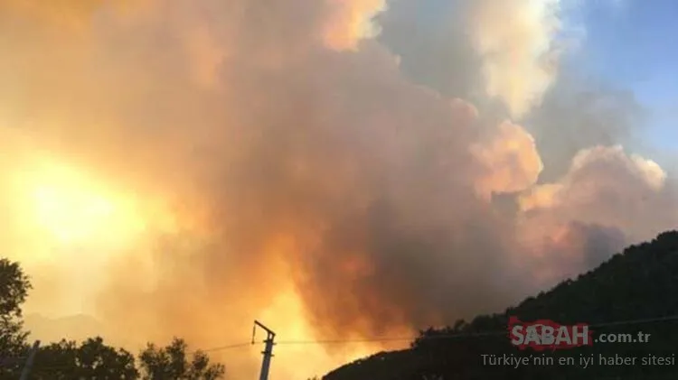 Adana Pozantı orman yangını son dakika: Adana orman yangınına müdahale başladı, son durum ne?