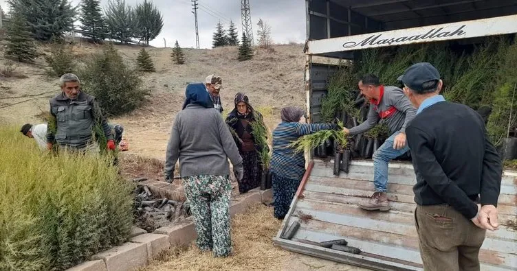 Kendi imkanlarıyla fidan diktiler