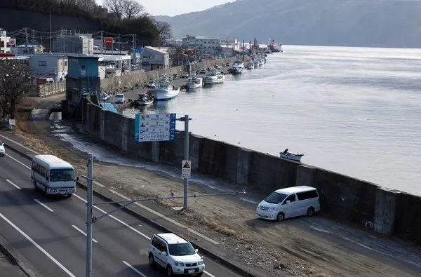 Tsunami felaketinden 1 yıl sonra