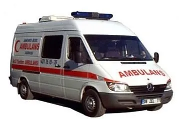 Fransızca'dan Türkçe'ye geçen sözcükler