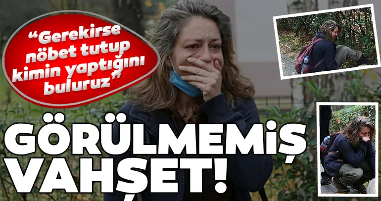 İzmit’te köpek katliamı