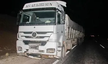 TIR koyun sürüsünü ezdi