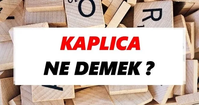 Kaplıca Ne Demek? TDK’ya Göre Kaplıca Sözlük Anlamı Nedir?