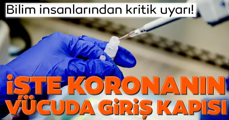 Bilim insanlarından kritik uyarı! İşte koronanın vücuda giriş kapısı
