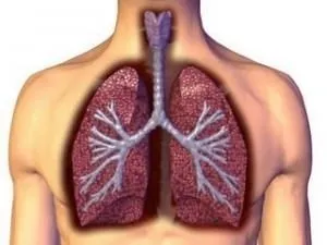 Akciğer kanserine karşı gdo’suz turp yiyin