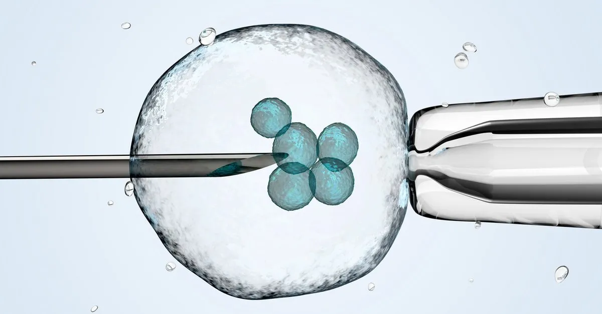 tup bebek tedavisinde gebelik hesaplama nasil olur tup bebek transferi nasil yapilir saglik haberleri