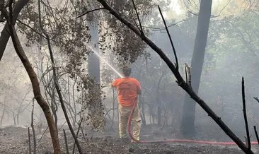 Beykoz’da ormanlık alandaki yangın söndürüldü