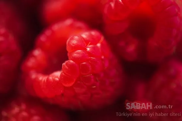 Bilim insanları açıkladı! Kansere karşı en dirençli kan grubu belli oldu!