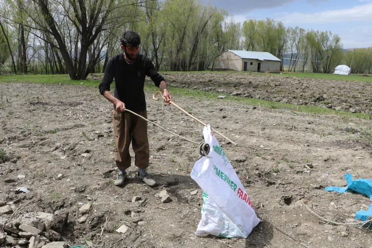 Hakkari'deki o evden 20 yılan daha çıktı...