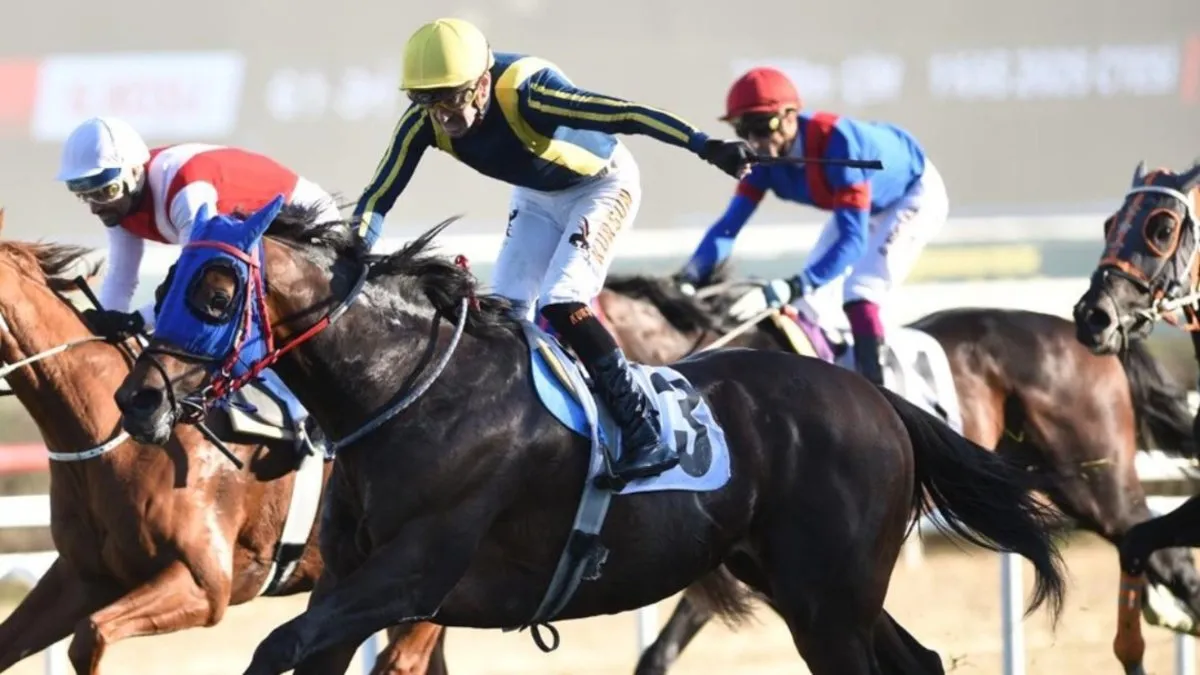 87. Cumhurbaşkanlığı Koşusu şampiyonu Grande Flusso oldu 87. Cumhurbaşkanlığı Koşusu şampiyonu Grande Flusso oldu