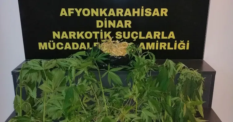 Evde mini uyuşturucu tarlası