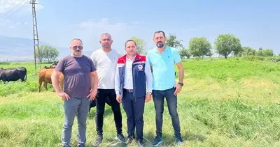 Devletin verdiği gebe ineklerle sıfırdan üretici oldu! #igdir