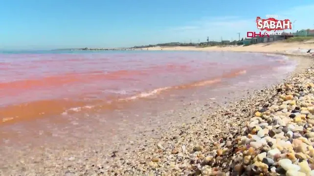 Karadeniz'de korkutan görüntü! Suyun rengi değişti: Ekipler inceleme başlattı | Video