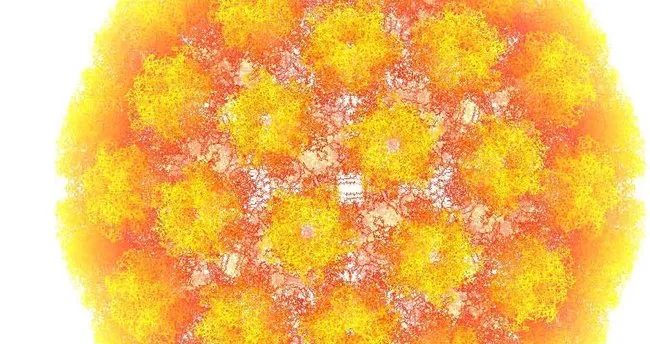 HPV Enfeksiyonları nedir? Nasıl bulaşır?
