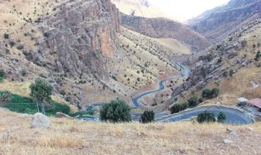 PKK elebaşıları ile ölüm pozu