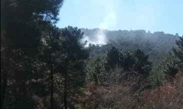 Sultanbeyli’de orman yangını!