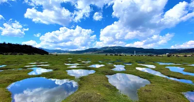 Türkiye’de böylesini hiç görmediniz! Karagöl Yaylası hayran bıraktı...