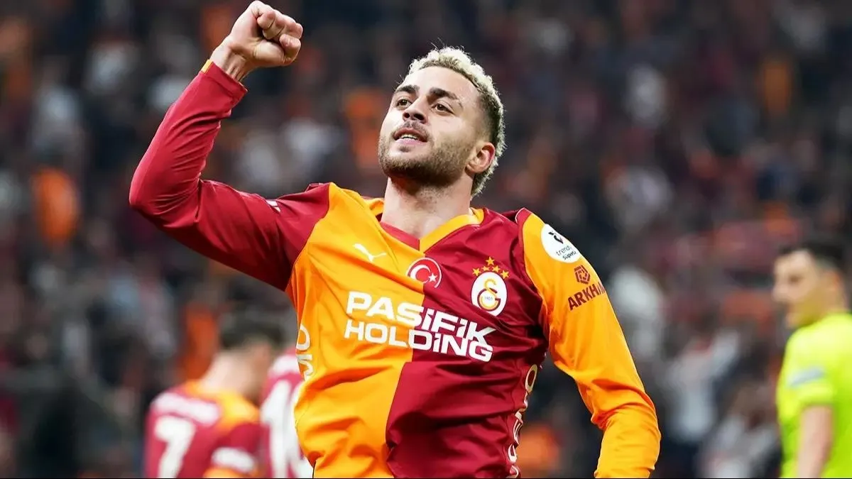 İstikrarlı aslanlar