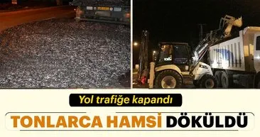TIR'ın dorsesinin kapağı açıldı tonlarca hamsi yola döküldü