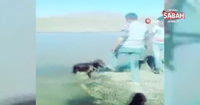 Kars’ta tepki çeken işkence! Yavru eşeği bağlayıp göle attılar | Video