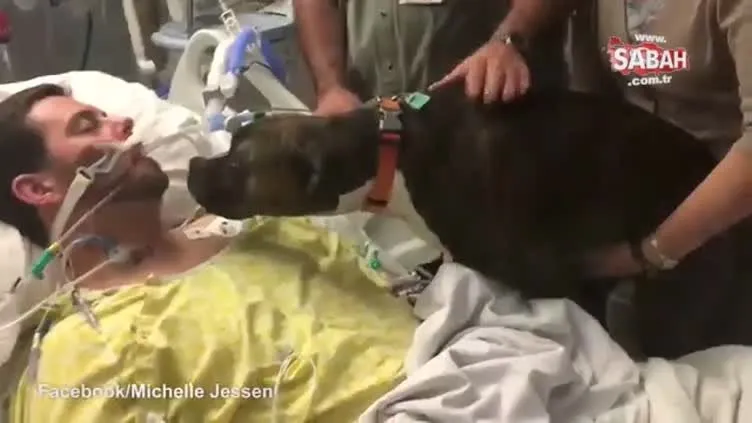 Köpek ölmek üzere olan sahibine böyle veda etti!