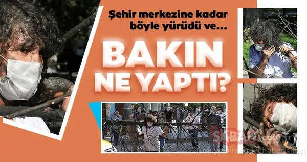 Profesörden dikkat çeken eylem: Yanmış ağacı sırtında taşıdı