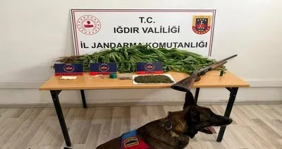 Iğdır’da jandarmadan uyuşturucu operasyonu: 1 kişi tutuklandı #igdir