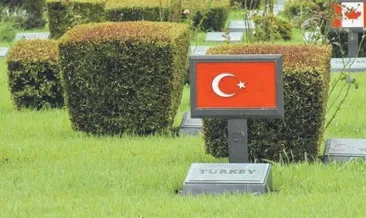 Kahraman şehitlerin haritası