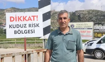 Hatay'da 4 mahalleye kuduz karantinası: Başıboş köpekler toplanıyor! #hatay