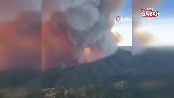İspanya'da orman yangını: 3 yaralı | Video