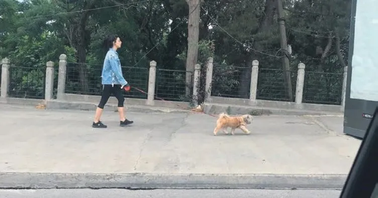 Köpeğini gezdirdi