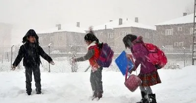 Tunceli, Elazığ, Bingöl’de bugün okullar tatil mi, okul var mı, yok mu? 13 Ocak Perşembe Tunceli, Elazığ, Bingöl Valiliği kar tatili açıklaması