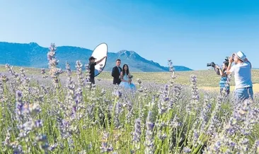 Gelinlerin mor rüyası