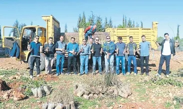 Cezalar ormana dönüşüyor