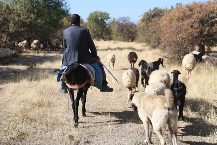 Bu işi yapana 70 bin TL maaş ve 30 GB internet: Yine de eleman bulunamıyor!